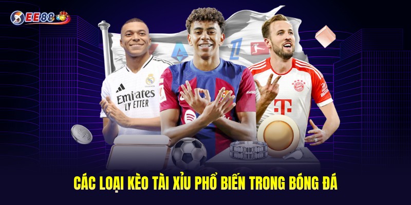 Các loại kèo Tài Xỉu phổ biến trong bóng đá