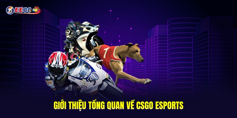 CSGO Esports Là Gì? - Hướng Dẫn Cá Cược Tại Sân Chơi EE88 1 Giới thiệu tổng quan về CSGO Esports
